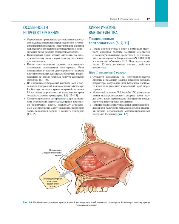 Атлас эндоскопической хирургии околоносовых пазух и основания черепа
