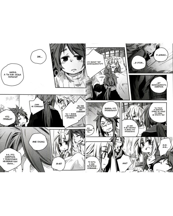 Записки о лечении волшебных зверей. Том 5