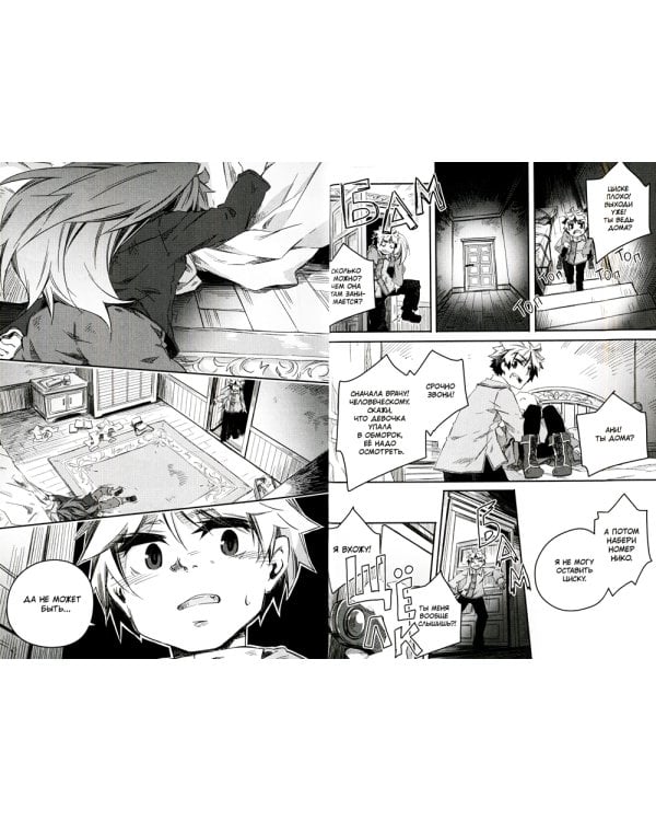 Записки о лечении волшебных зверей. Том 5