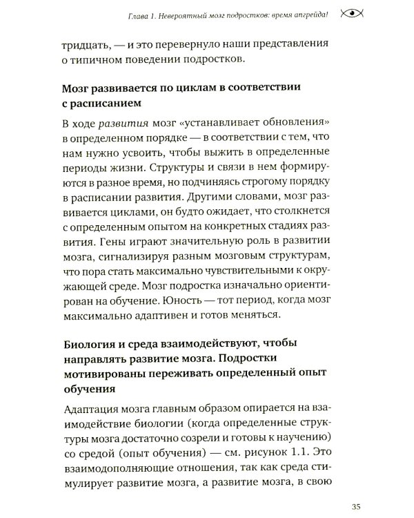 Невероятный мозг подростка. Инструкция по примирению, расшифровке и раскрытию потенциала