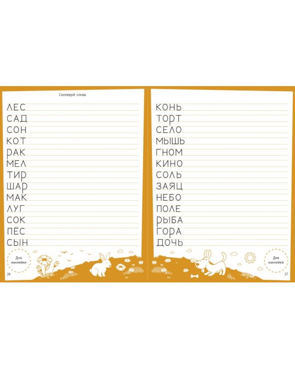 Учимся писать. Развивающие задания. 4-5 лет: книжка с наклейками