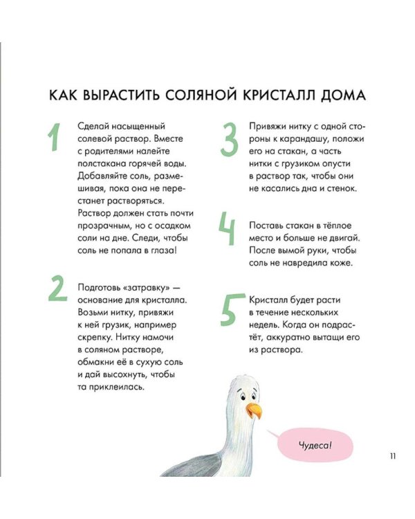 Я знаю, что я ем! Соль