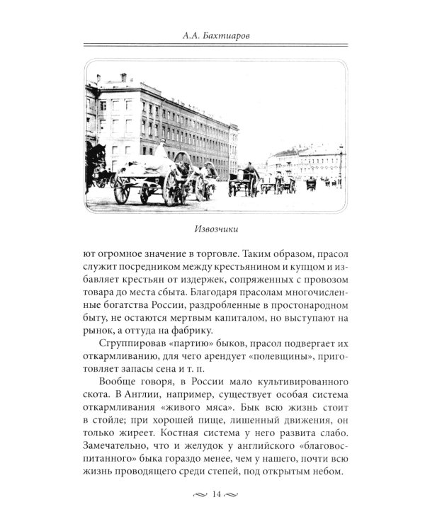 Брюхо Петербурга. Очерки столичной жизни