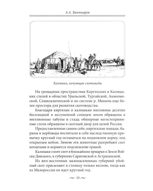 Брюхо Петербурга. Очерки столичной жизни