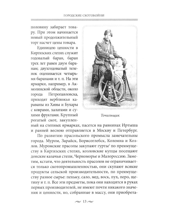 Брюхо Петербурга. Очерки столичной жизни