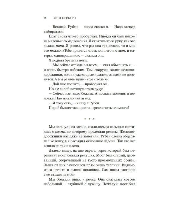 Дорога Одинокого Пса: роман