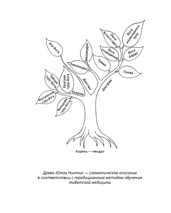 Путь к радужному телу. Введение в Юток Нинтик. 2-е изд
