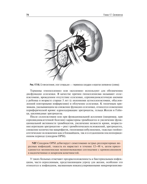 Хирургические болезни: Учебник. В 2 т. Т. 2