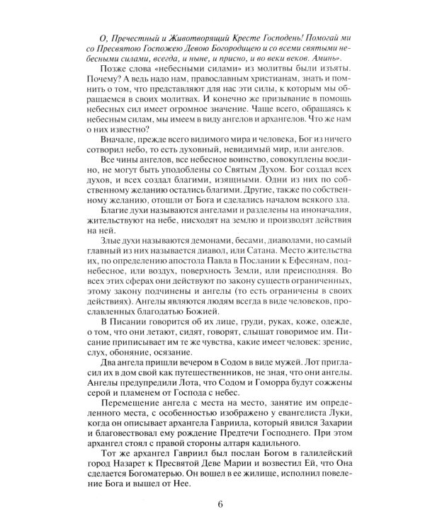 Мощный молитвенный щит на все случаи жизни. Молитвы, обереги, заговоры
