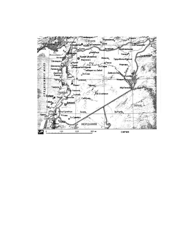 Поле битвы - Сирия