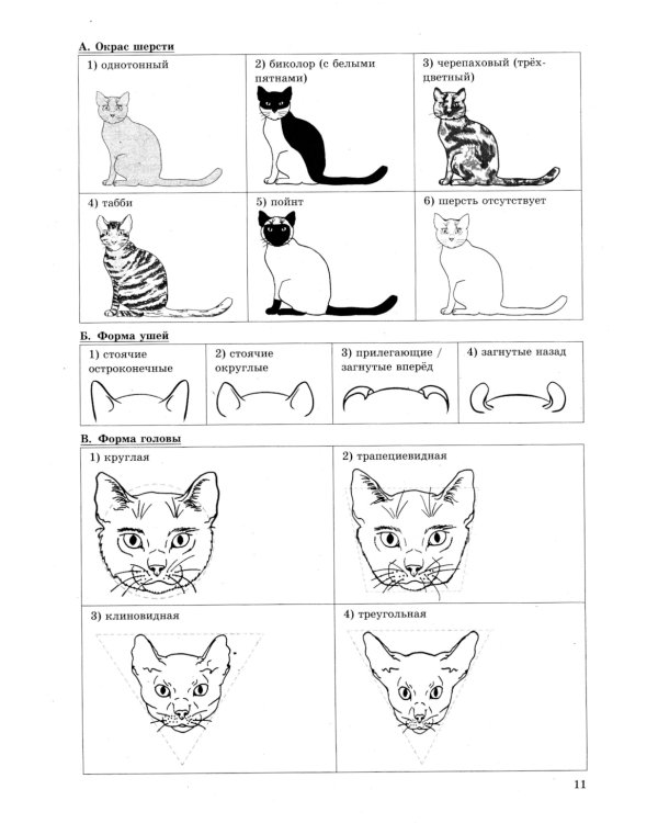 ОГЭ 2025. Биология. 12 вариантов. Типовые варианты экзаменационных заданий от разработчиков ОГЭ