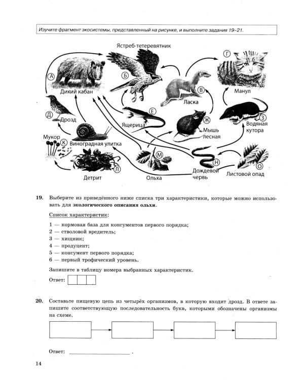 ОГЭ 2025. Биология. 12 вариантов. Типовые варианты экзаменационных заданий от разработчиков ОГЭ