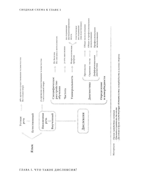 Поговорим о дислексии. Личный опыт и научные исследования