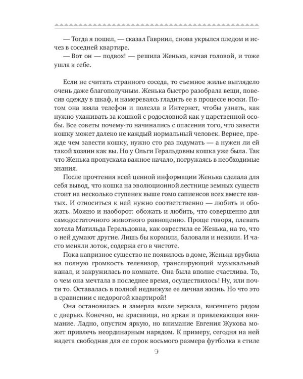 Кошка за окошком