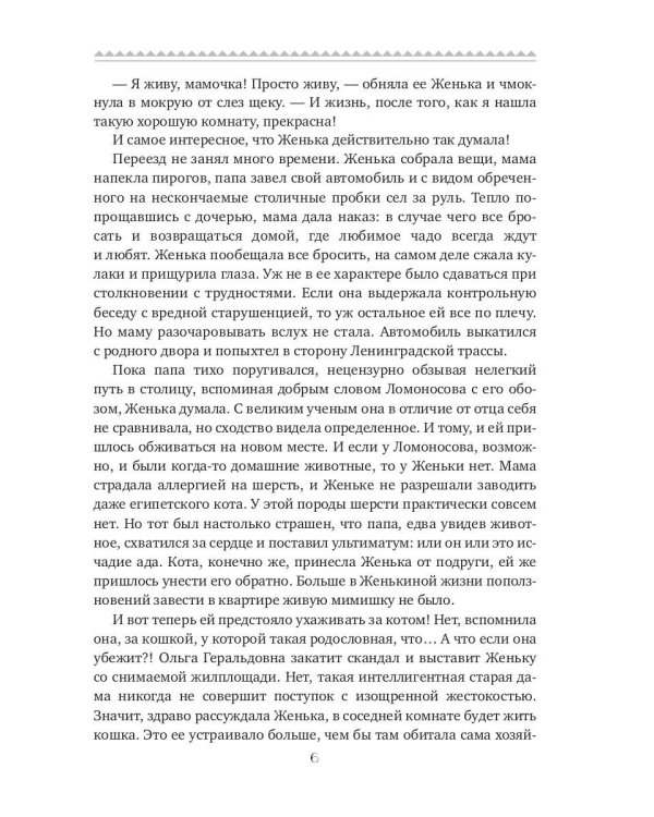 Кошка за окошком