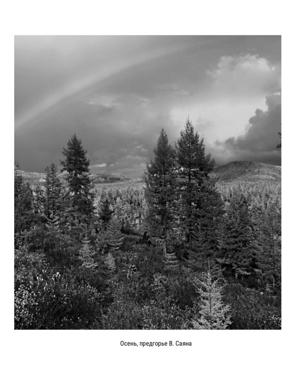 Не судите строго. Сборник