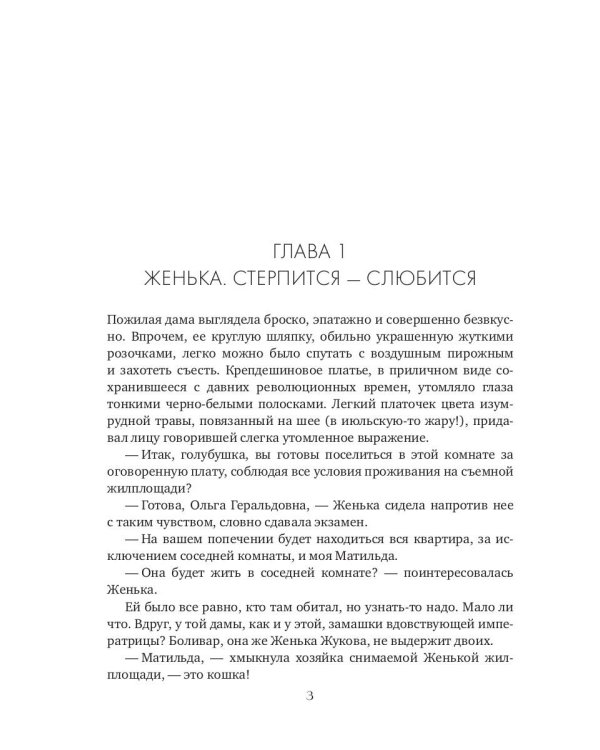 Кошка за окошком