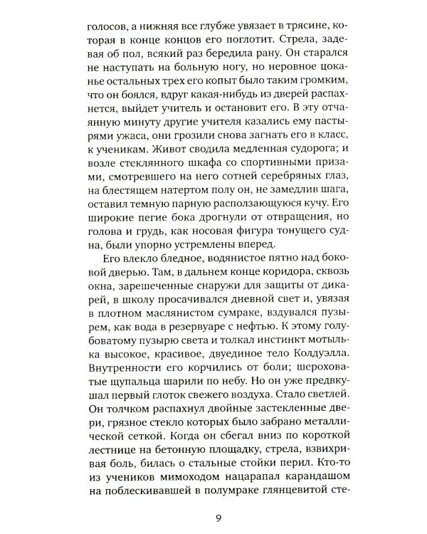 Кентавр: роман