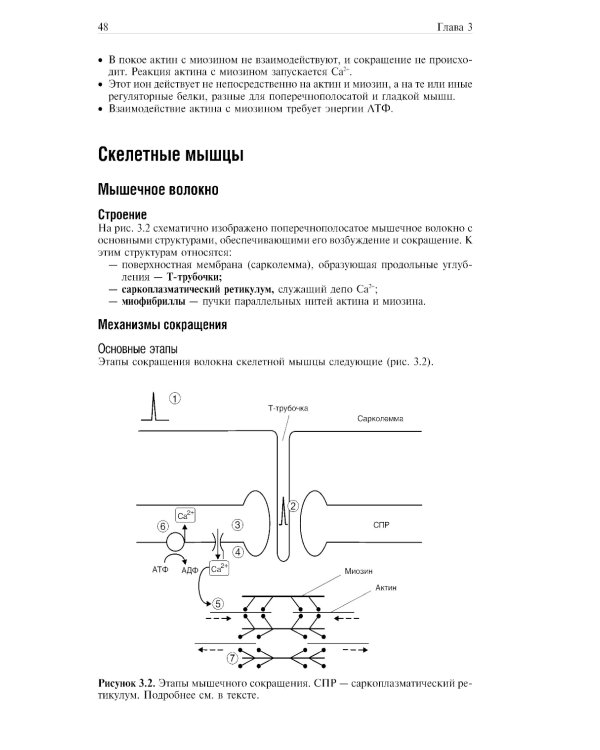 Основы медицинской физиологии. Учебное пособие. 3-е изд испр., и доп