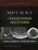 МРТ и КТ. Секционная анатомия