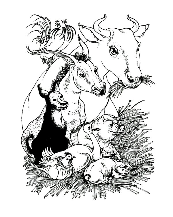 Скотный двор