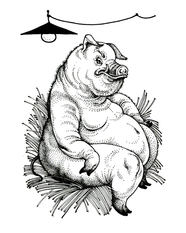 Скотный двор