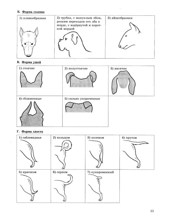 ОГЭ 2026. Биология. 12 вариантов. Типовые варианты экзаменационных заданий