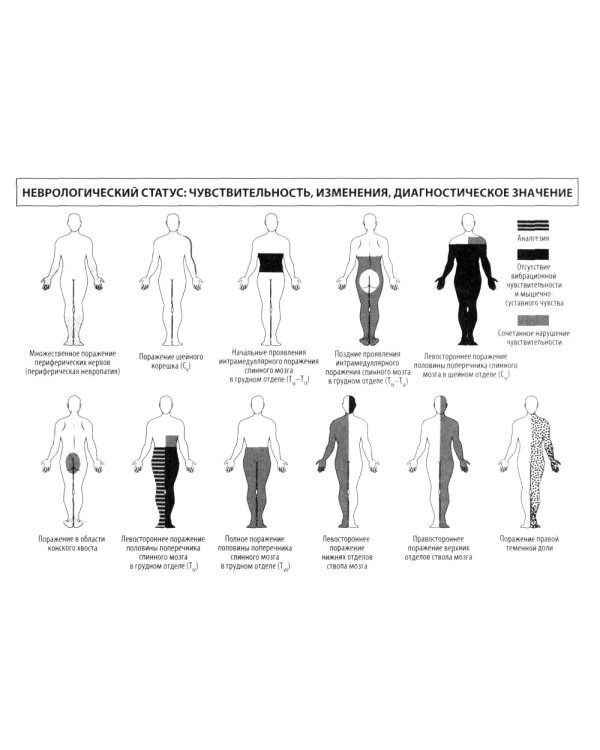 Неврология: общая врачебная практика: учебное пособие. 3-е изд., доп