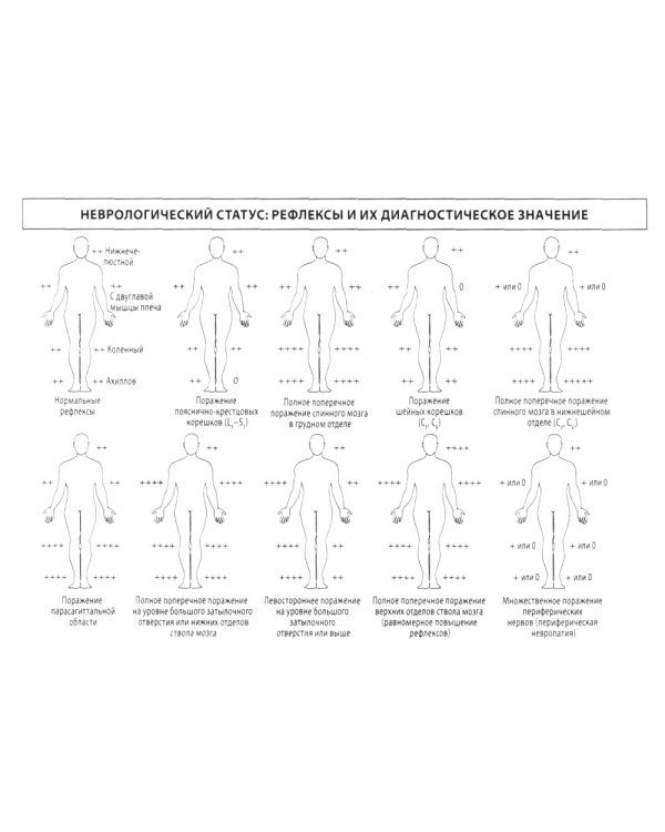 Неврология: общая врачебная практика: учебное пособие. 3-е изд., доп