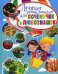 Лучшая энциклопедия для почемучек и любознашек