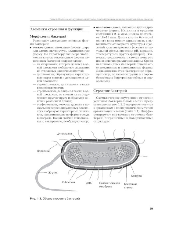 Рациональная антимикробная фармакотерапия. 3-е изд., перераб. и доп