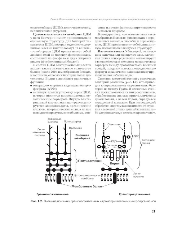 Рациональная антимикробная фармакотерапия. 3-е изд., перераб. и доп