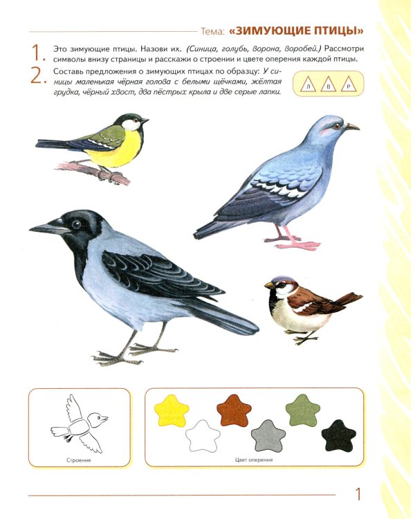 Развиваем связную речь у детей 4-5 лет с ОНР. Альбом 2. Мир животных. 2-е изд., испр