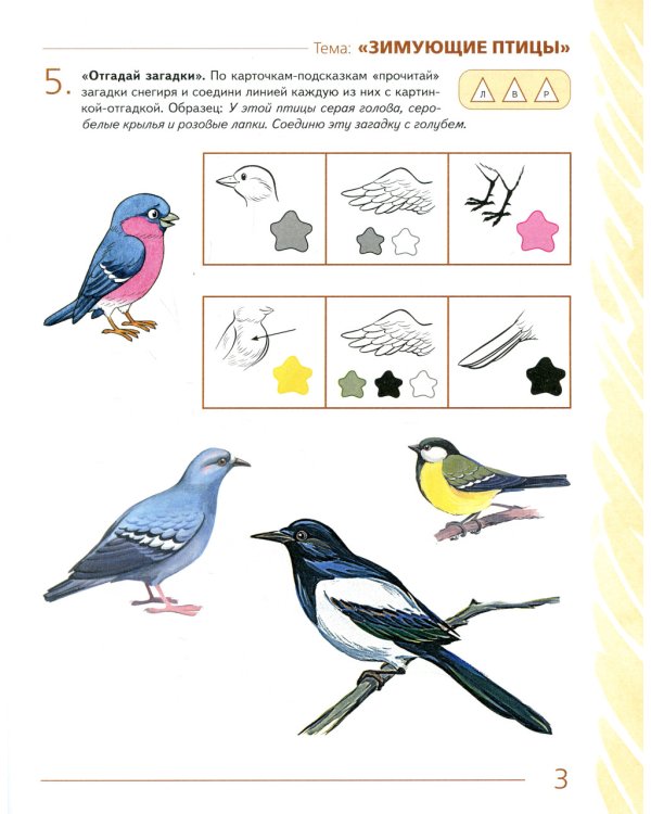 Развиваем связную речь у детей 4-5 лет с ОНР. Альбом 2. Мир животных. 2-е изд., испр