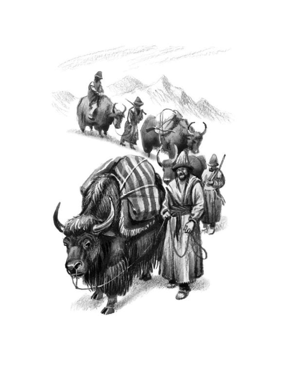 Томек ищет снежного человека» и другие удивительные приключения: романы