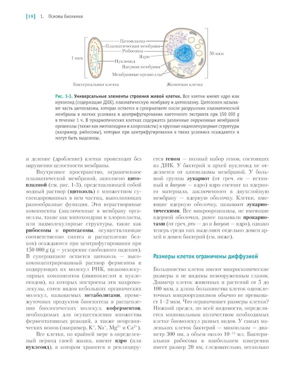 Основы биохимии Ленинджера. В 3 т. Т. 1: Основы биохимии, строение и катализ. 5-е изд., перераб.и доп