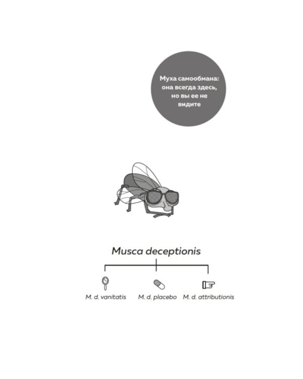 Мой мозг мне врет! Феномен эффекта жужжащей мухи