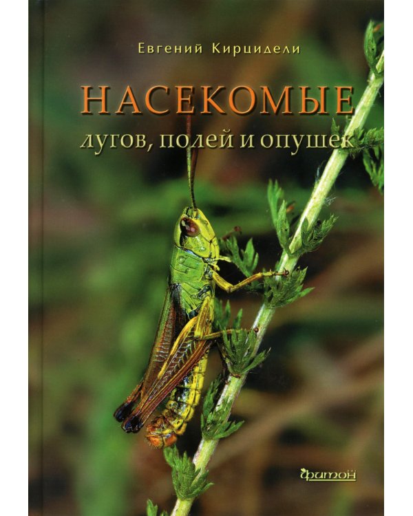 Насекомые лугов, полей и опушек