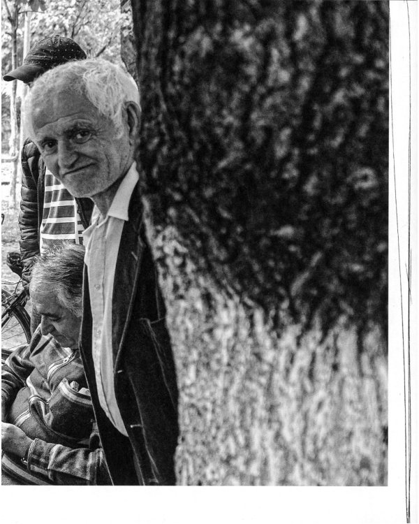 Марка с цеппелином: роман-сториборд