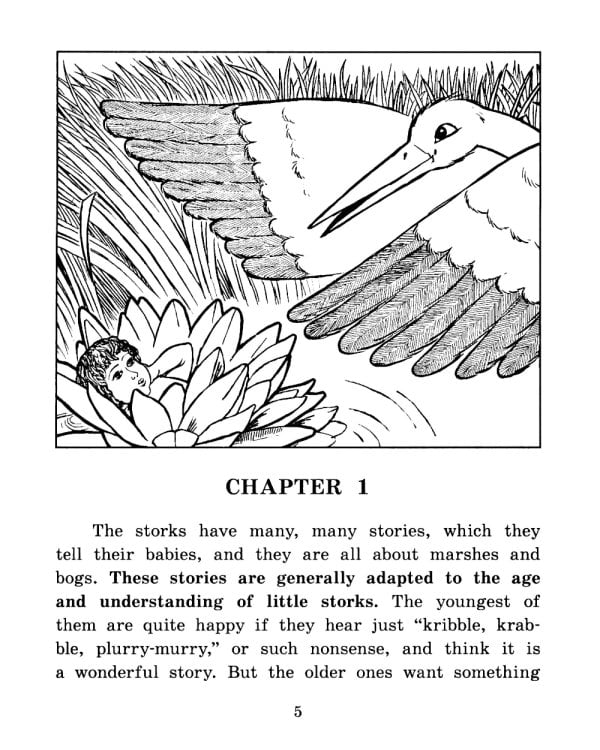 Принцесса из кувшинки