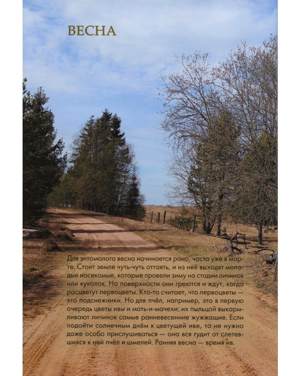 Насекомые лугов, полей и опушек