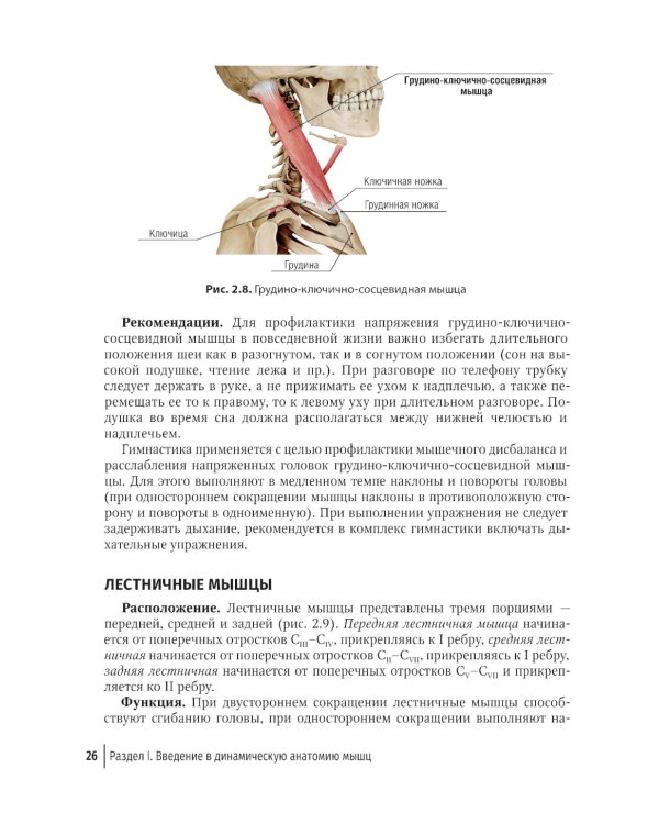 Массаж в детском возрасте. Руководство для врачей