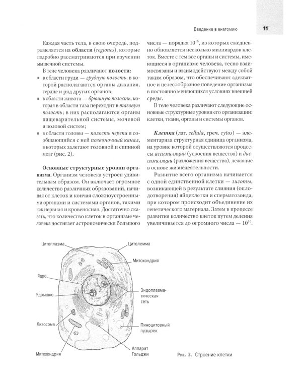 Анатомия человека: Учебник для медицинских вузов. 2-е изд., испр. и доп
