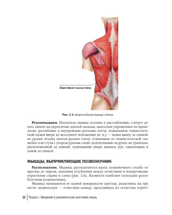 Массаж в детском возрасте. Руководство для врачей