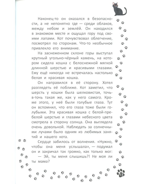 Кот, покоривший вершину