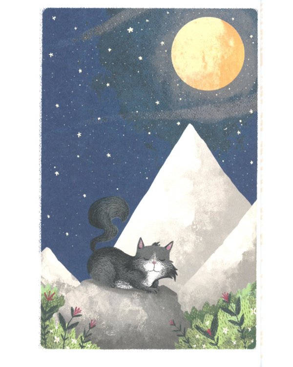 Кот, покоривший вершину