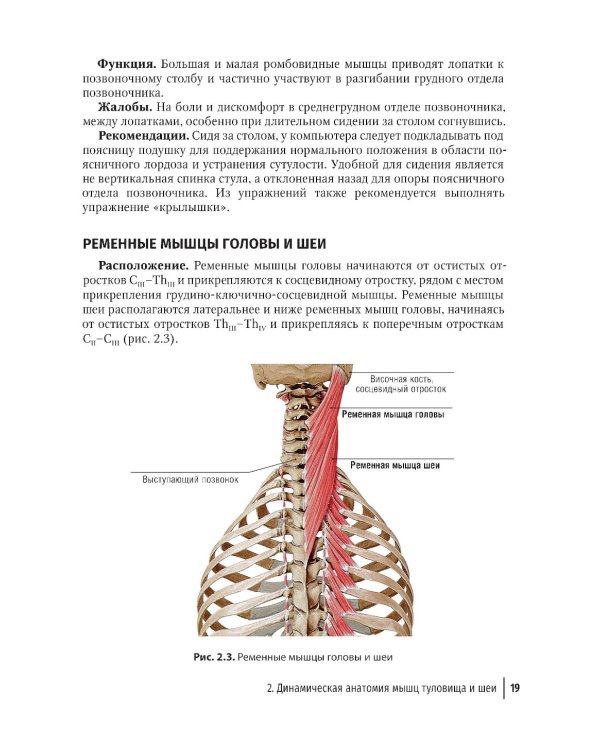 Массаж в детском возрасте. Руководство для врачей