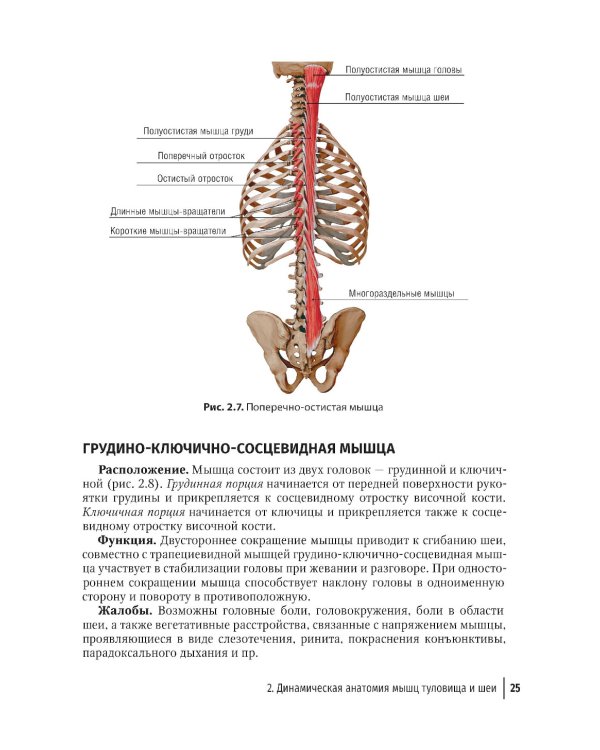 Массаж в детском возрасте. Руководство для врачей