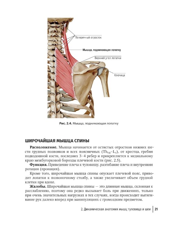 Массаж в детском возрасте. Руководство для врачей