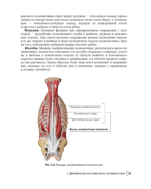 Массаж в детском возрасте. Руководство для врачей
